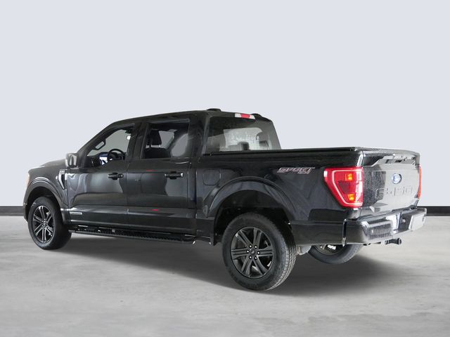 Thumbnail: 2023 Ford F-150 - 3