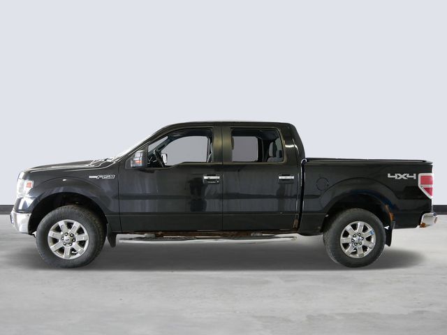 Thumbnail: 2014 Ford F-150 - 2