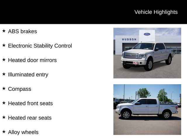 2013 Ford F-150 Platinum 13