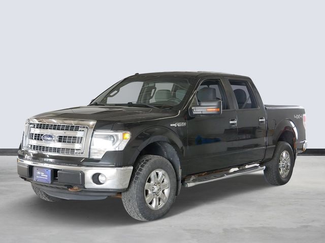 2014 Ford F-150 XLT -
                  Hudson, WI