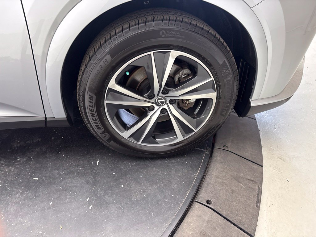 Photo 19