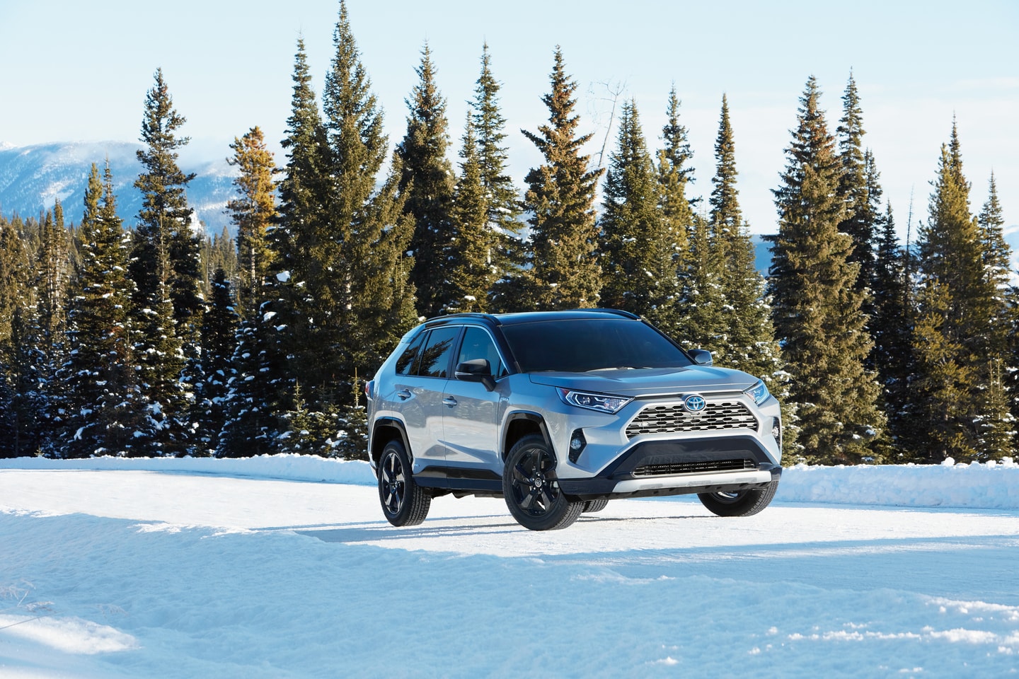 2025 Toyota RAV4 Hybrid