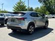 2021 LEXUS NX 300 SUV