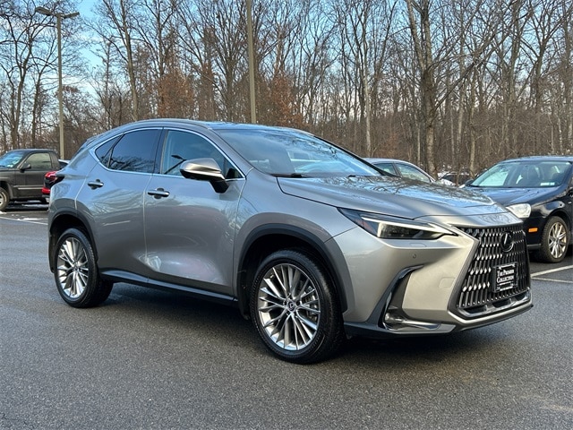 2023 Lexus NX 350's photo