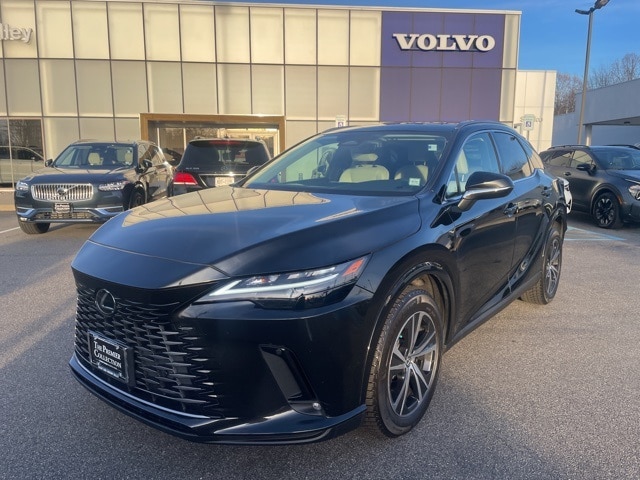 2024 Lexus RX 350's photo