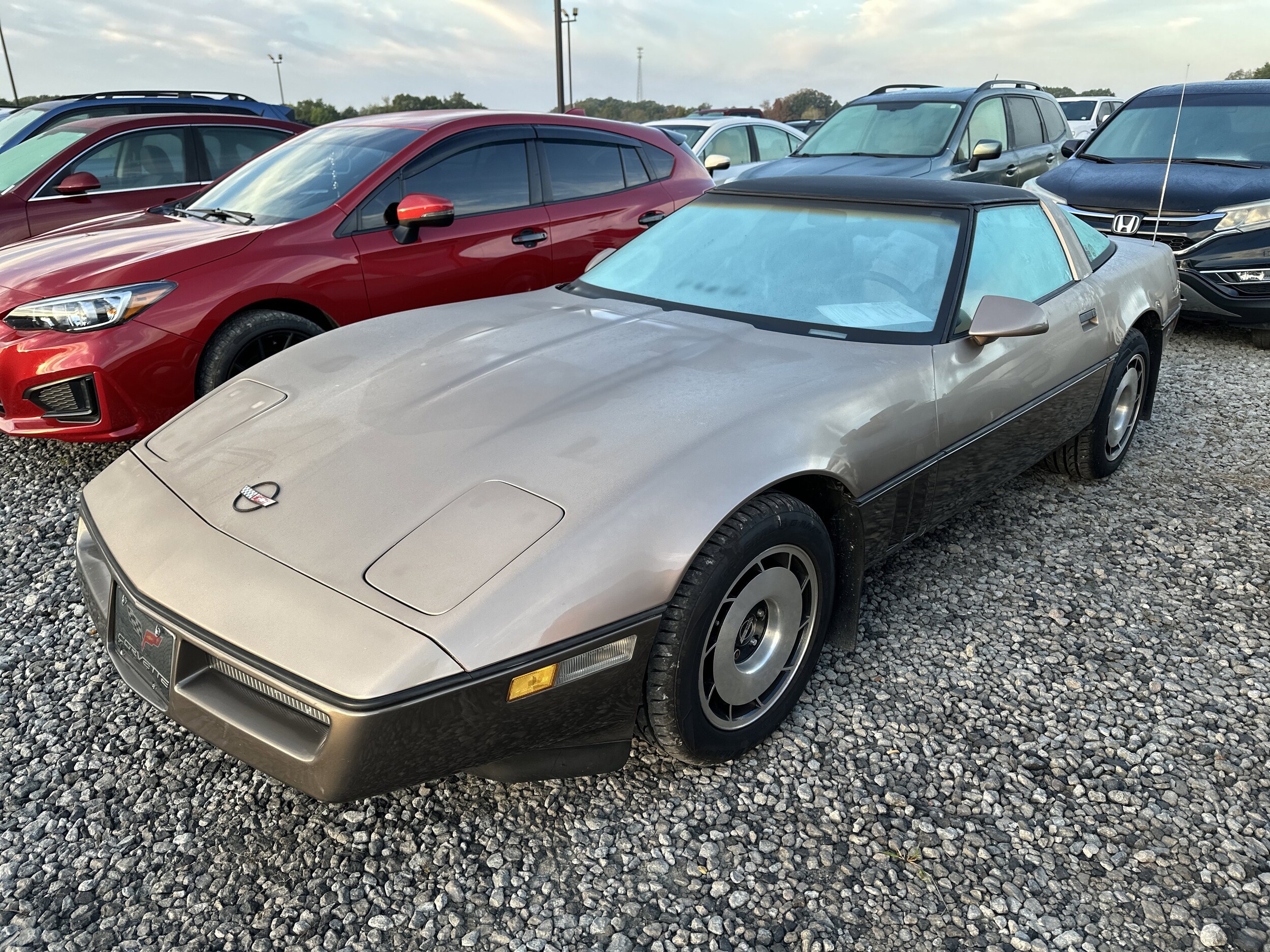 1984 Chevrolet Corvette Base Coupe photo 4