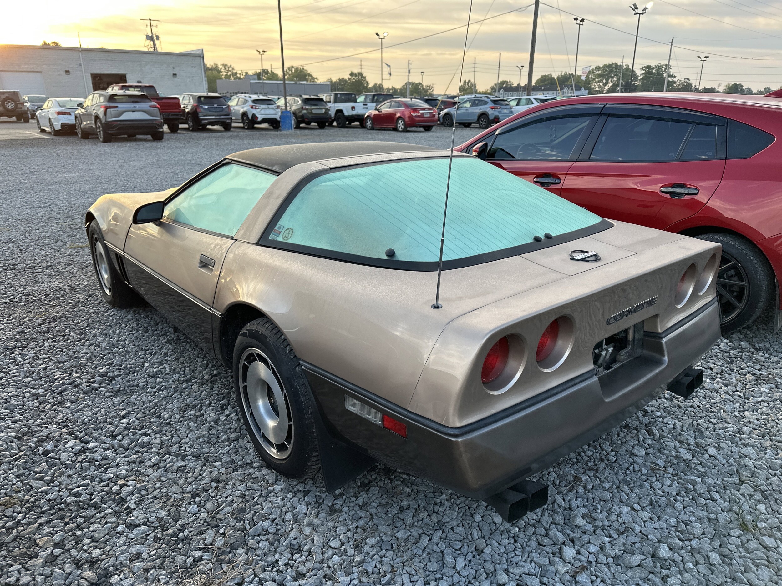 1984 Chevrolet Corvette Base Coupe photo 3