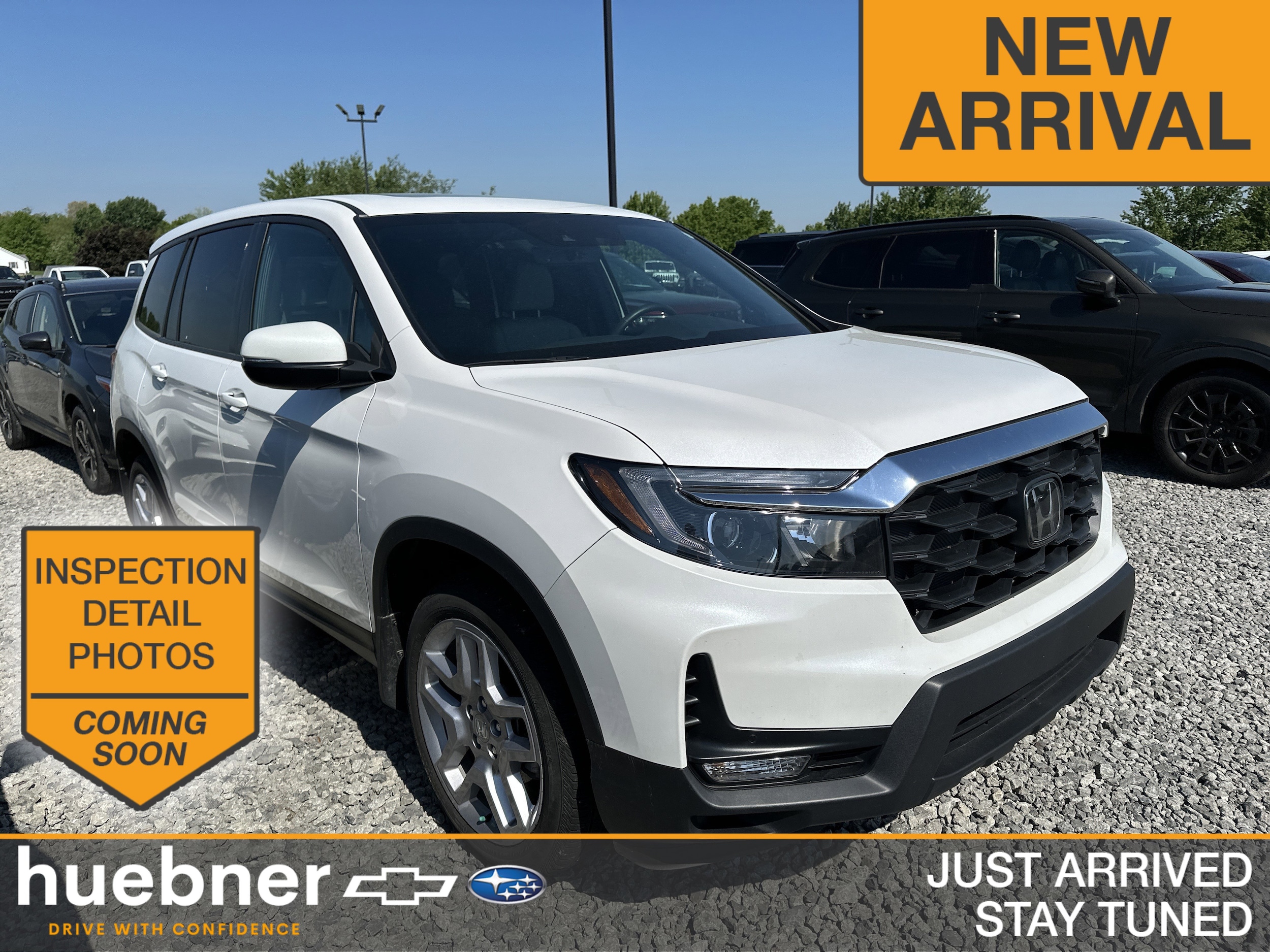 2024 Honda Passport 3.5 EX-L 4WD Auto's photo