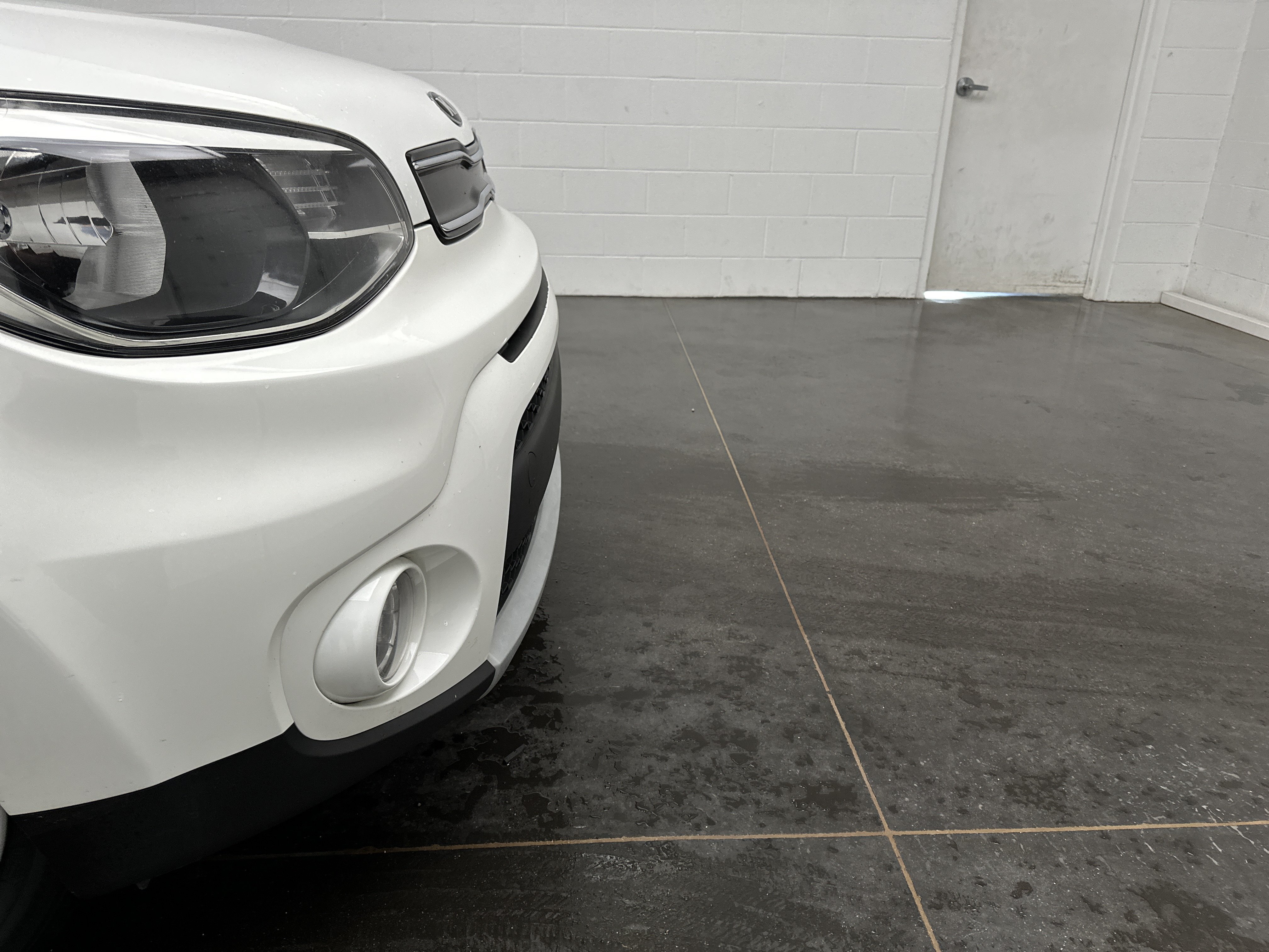 Used 2019 Kia Soul + with VIN KNDJP3A50K7640442 for sale in Carrollton, OH