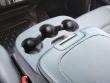 2025 Ram 4500 REG CAB CHASSIS Pickup