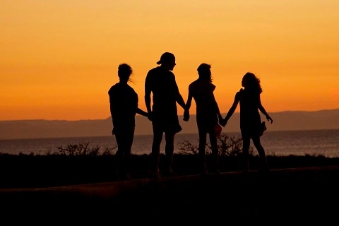 silhouette of a family walking through a field in Plano, TX
