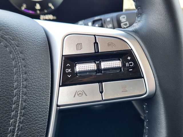 2025 Kia Telluride SX - Photo 30
