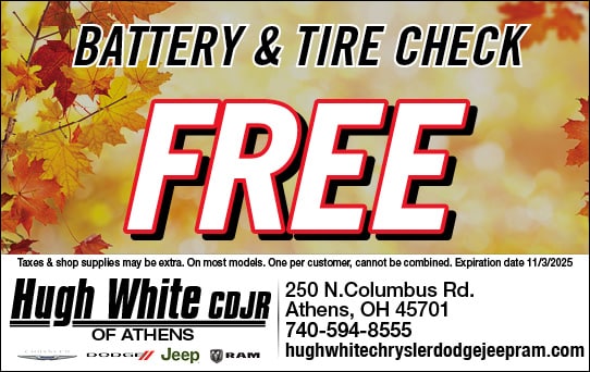 Battery & Tire Check