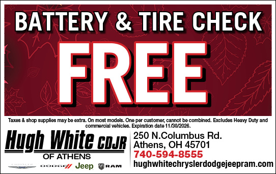Battery & Tire Check
