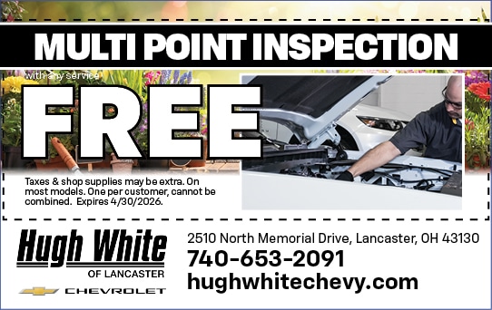 Mulit Point Inspection