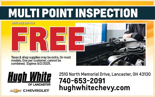 Mulit Point Inspection