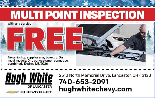 Mulit Point Inspection