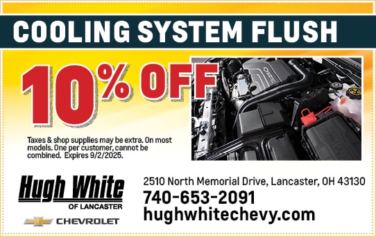 Cooling System Flush