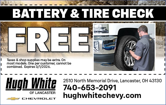 Battery & Tire Check