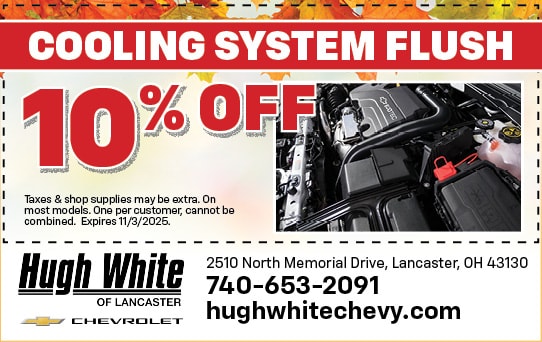 Cooling System Flush