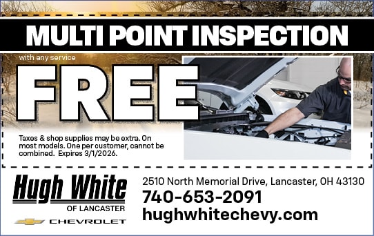 Mulit Point Inspection