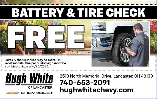 Battery & Tire Check