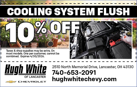 Cooling System Flush