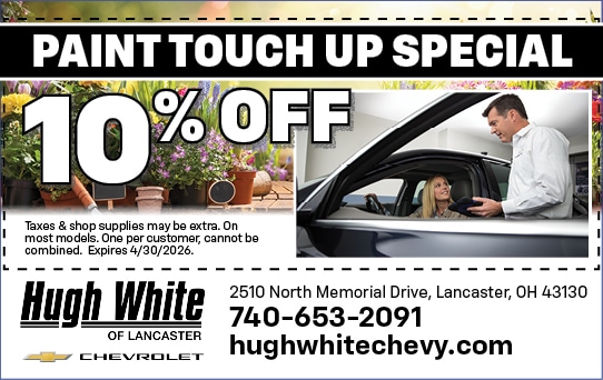 Paint Touch Up Special