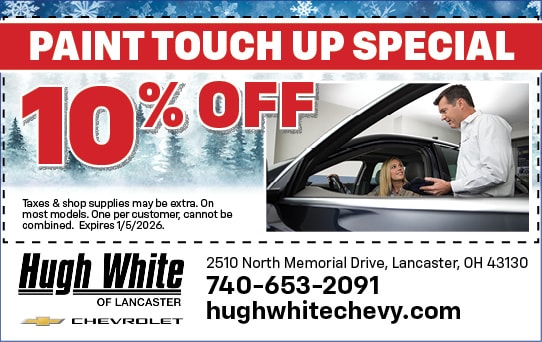 Paint Touch Up Special