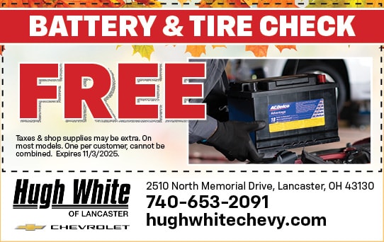 Battery & Tire Check