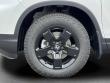 2026 Honda Ridgeline Black Edition Truck Crew Cab