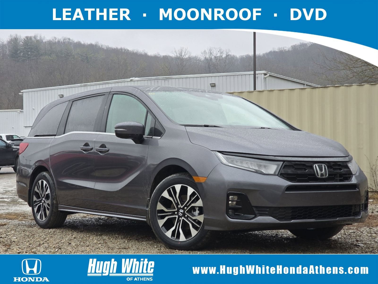 2026 Honda Odyssey Elite's photo