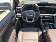 2025 GMC Sierra 1500 Denali Truck Crew Cab