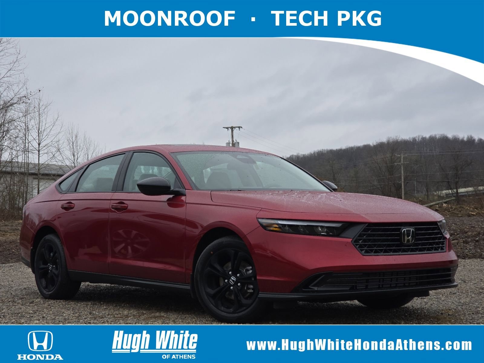 2025 Honda Accord SE's photo