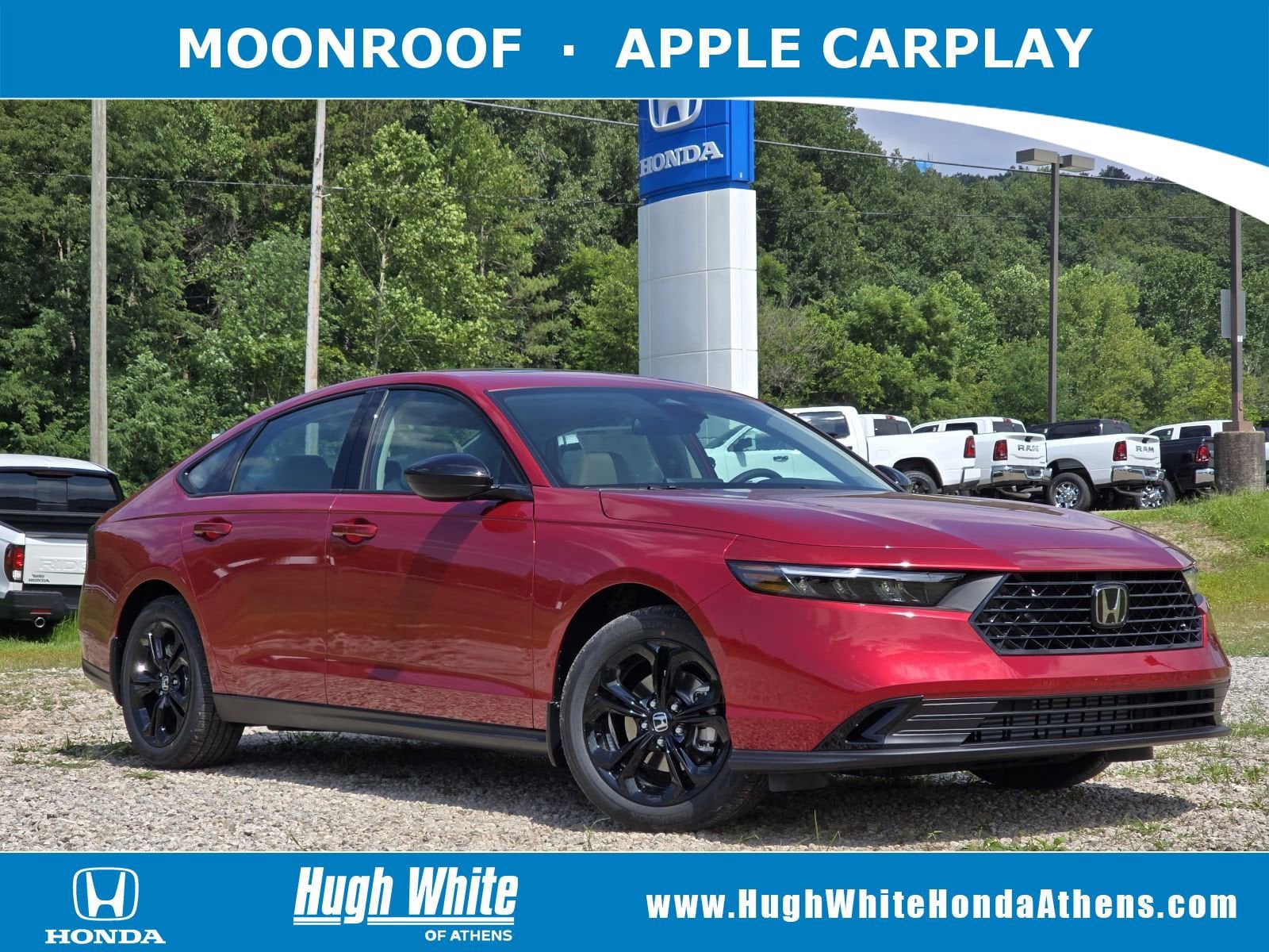 2025 Honda Accord Sedan 