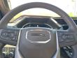 2025 GMC Sierra 1500 Denali Truck Crew Cab