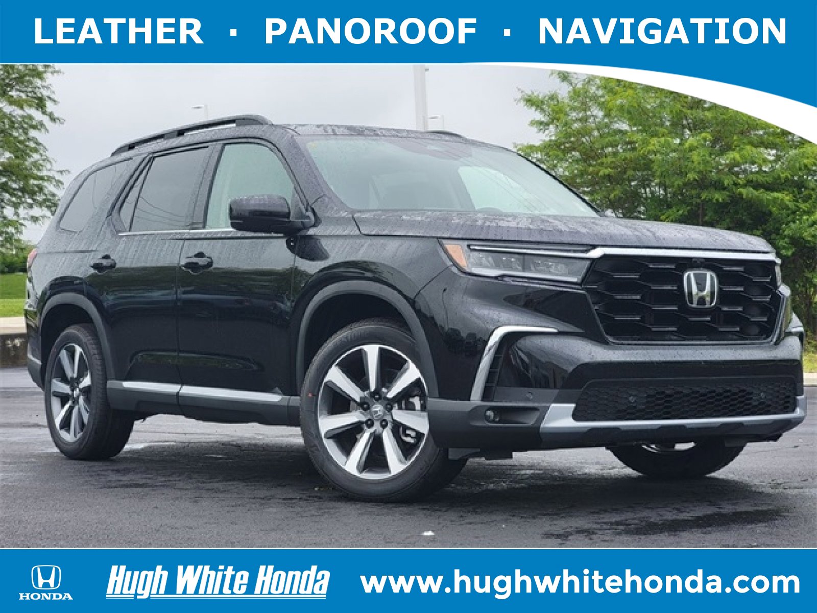 2025 Honda Pilot Elite's photo