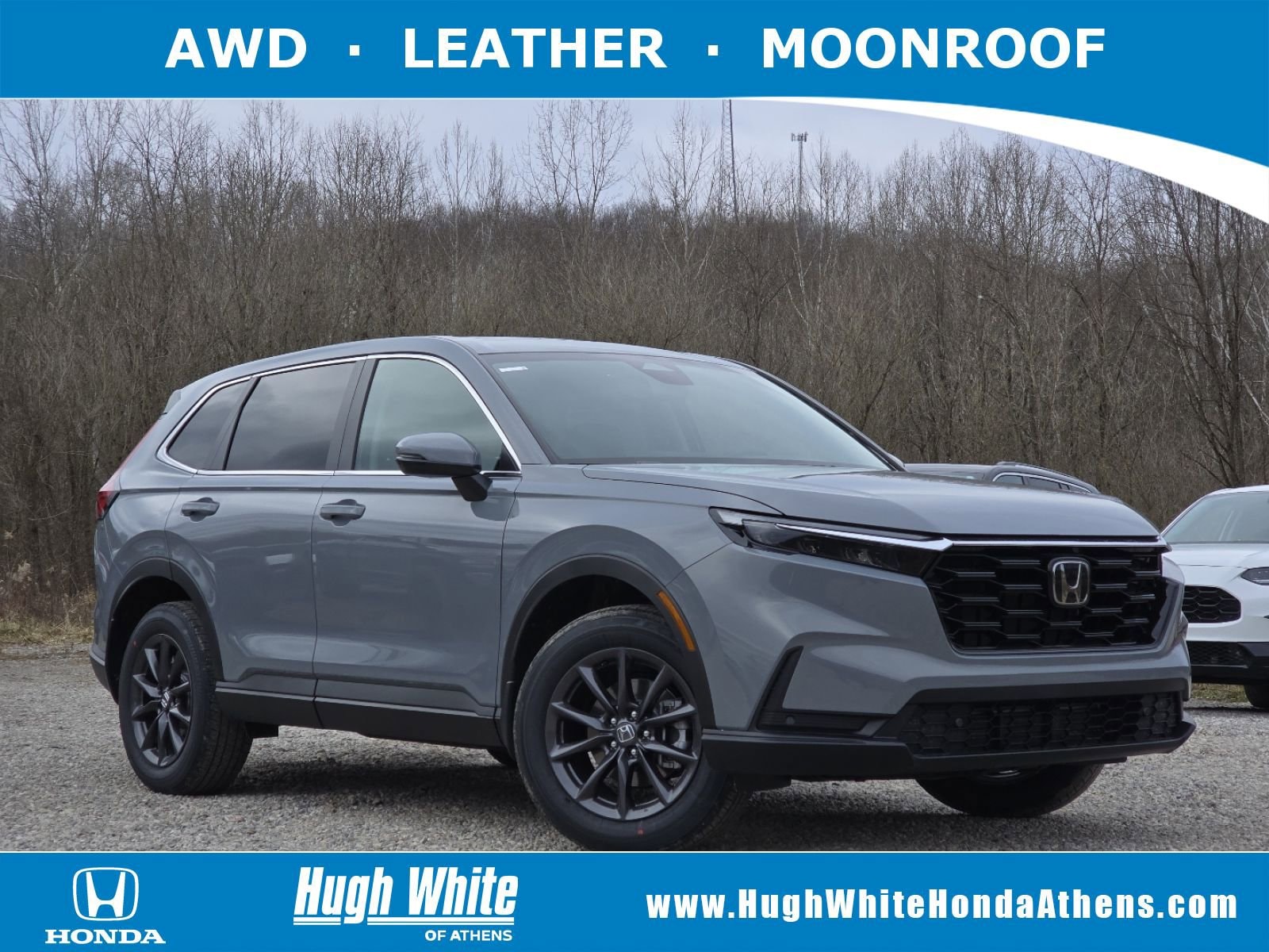 2026 Honda CR-V EX-L's photo