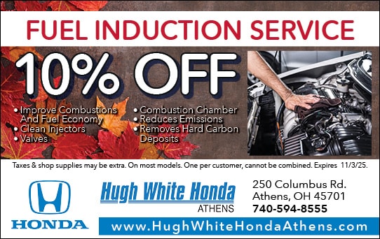 10% Off Fuel Induction Service