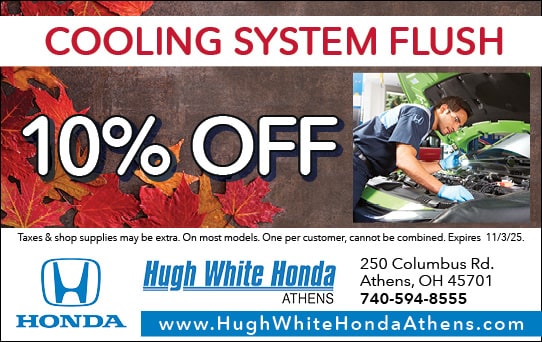 10% Off Cooling System Flush