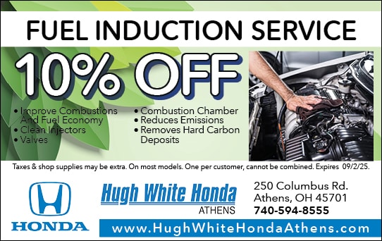 10% Off Fuel Induction Service