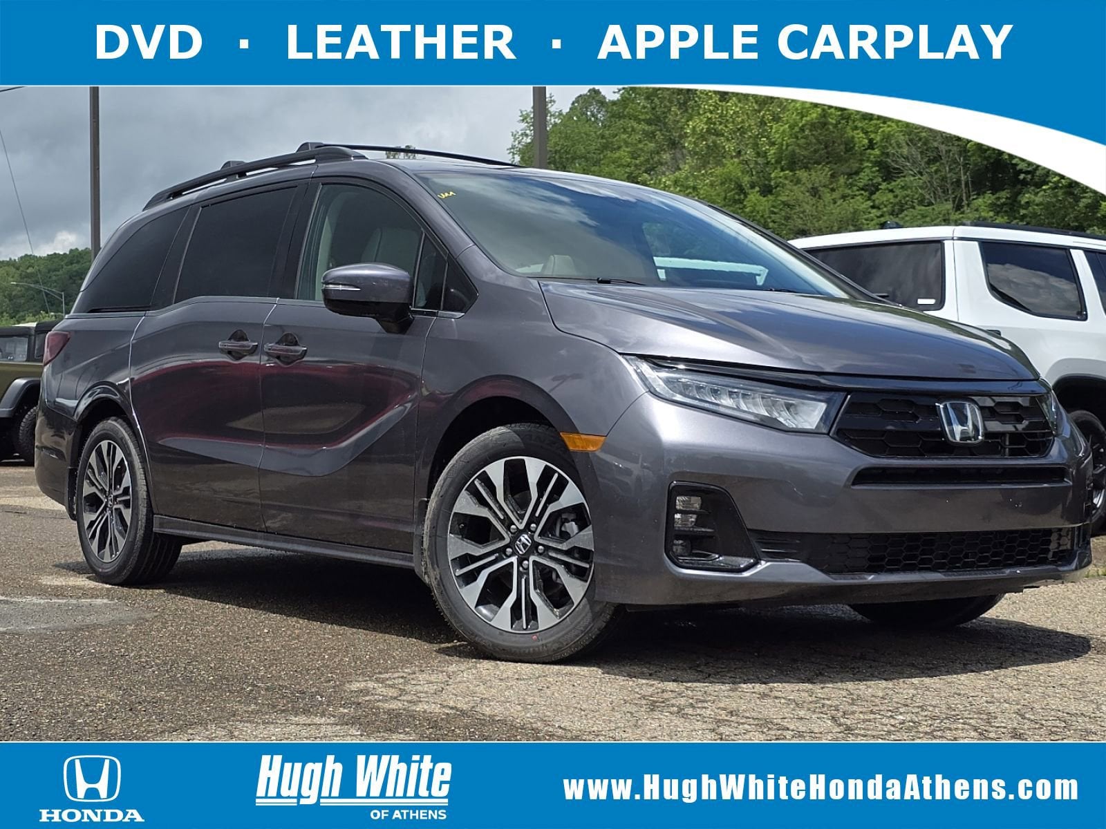 2026 Honda Odyssey Elite's photo