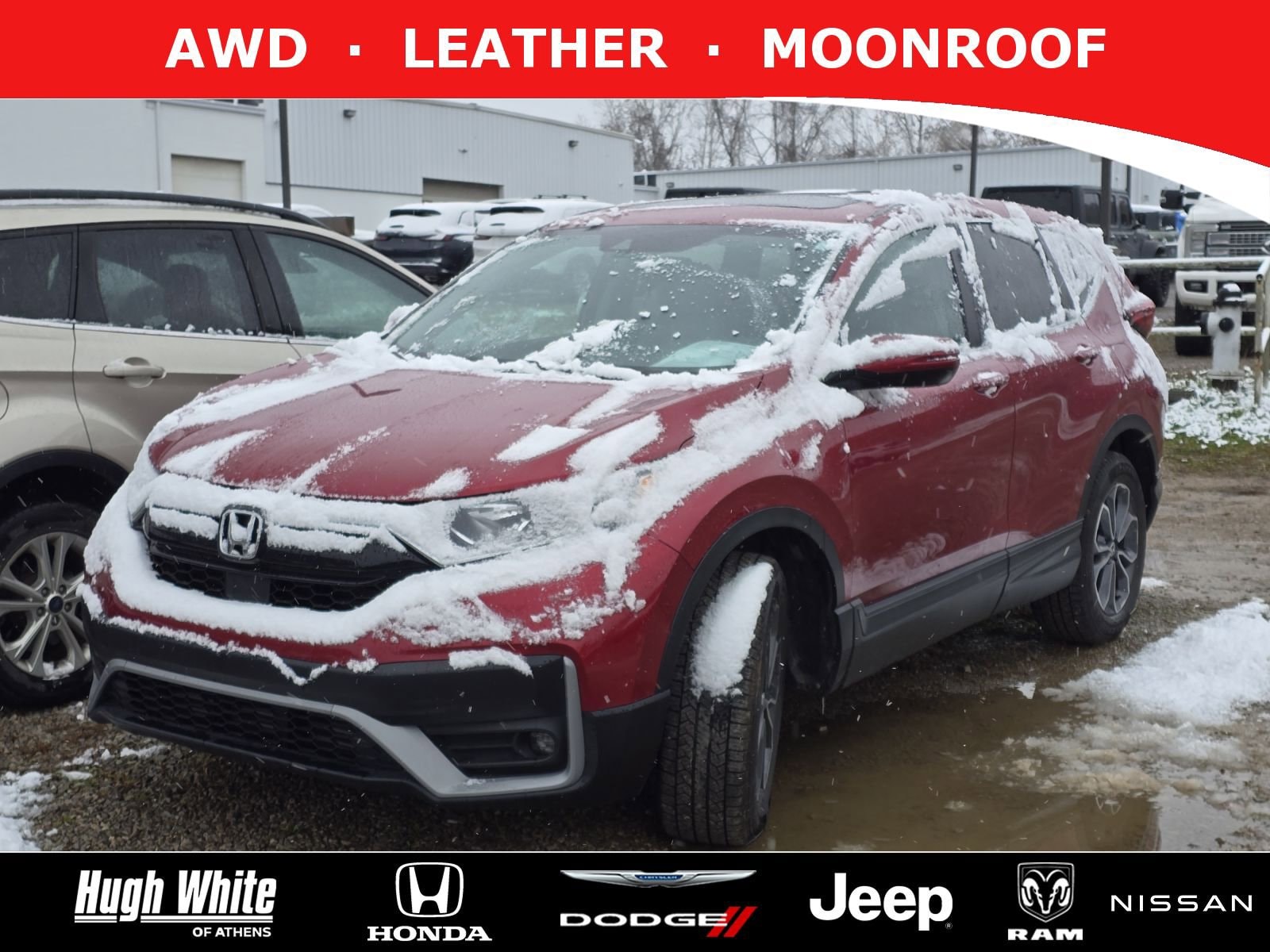 2022 Honda CR-V EX-L's photo