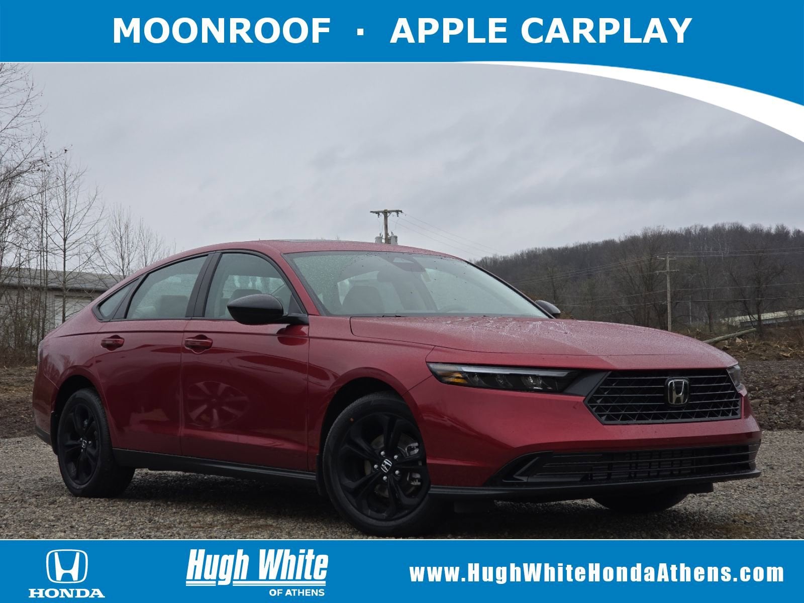 2025 Honda Accord SE's photo