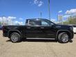 2025 GMC Sierra 1500 Denali Truck Crew Cab