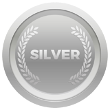 Silver auto detailing at Hugh White Nissan