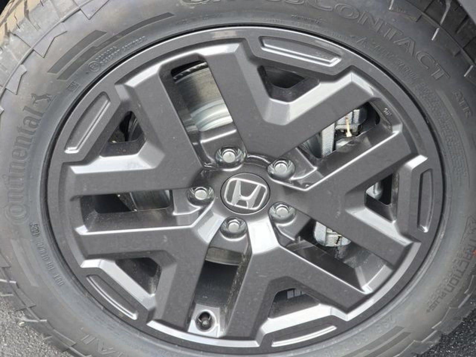 Photo 15