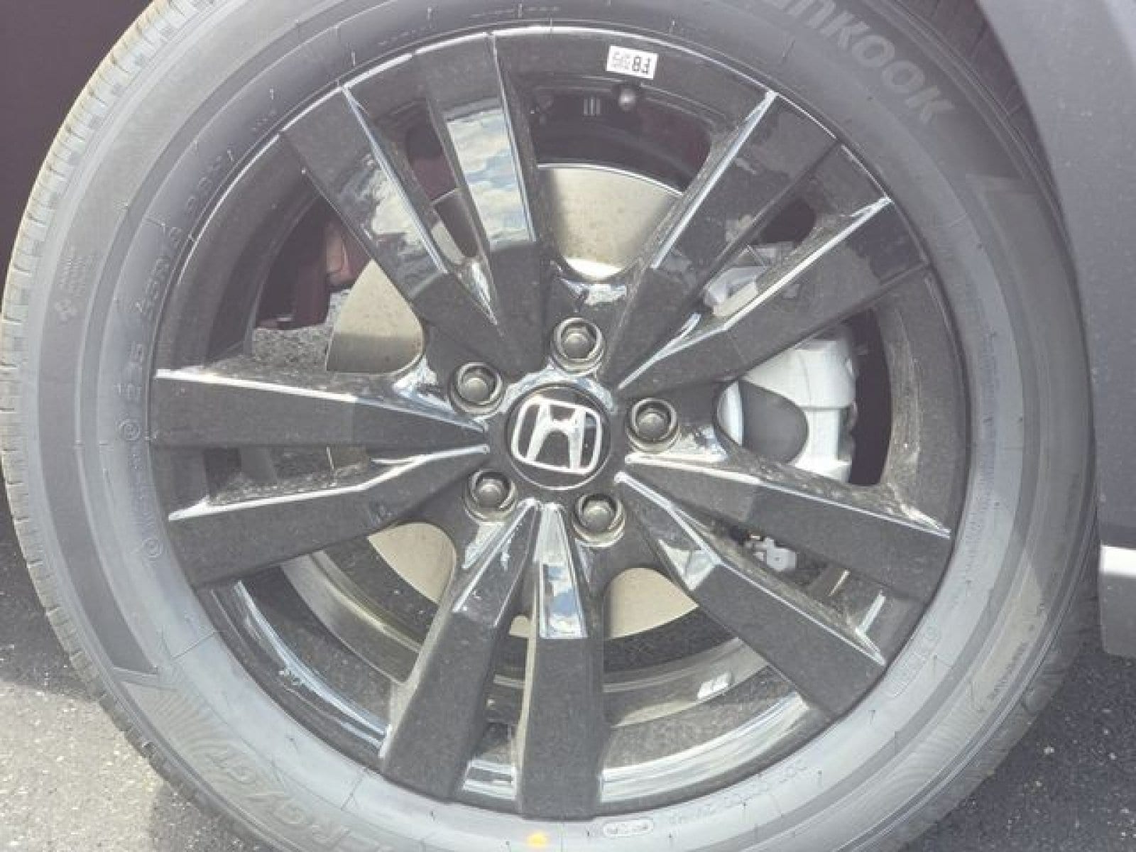 Photo 11
