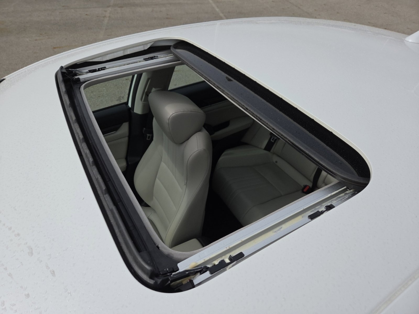 2020 Honda Accord EX-L 1.5T photo 3