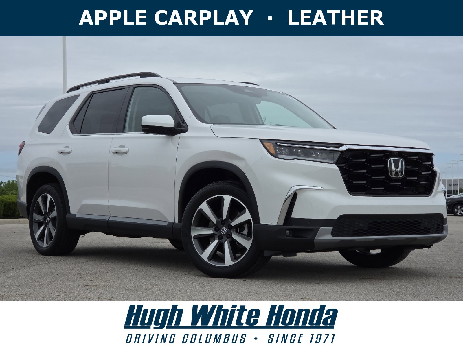 2023 Honda Pilot Elite AWD's photo